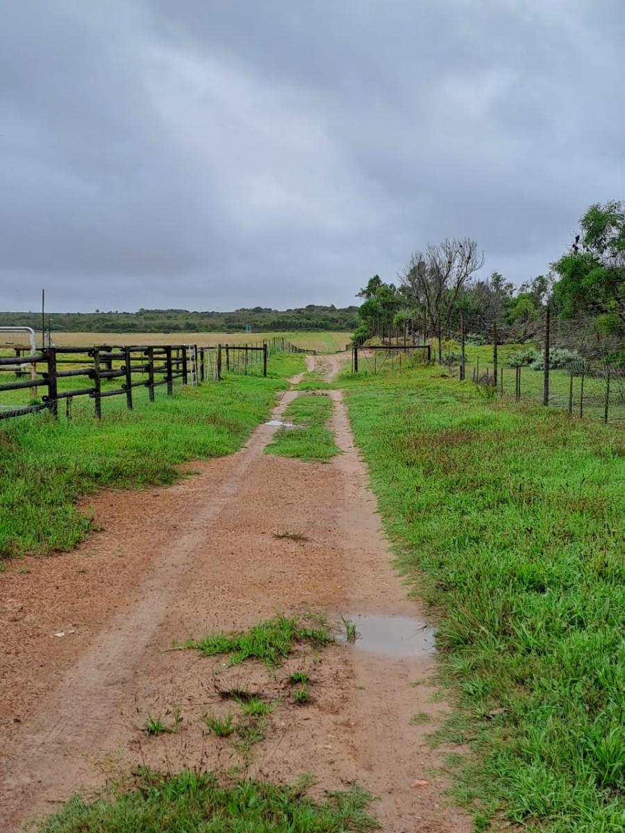 Commercial Property for Sale in St Francis Bay Rural Eastern Cape